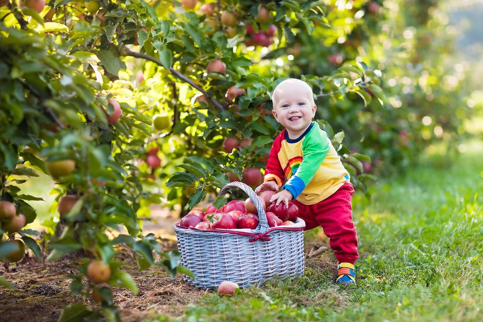 6 Fabulous Outdoor Autumn Activities Your Family Will Fall For