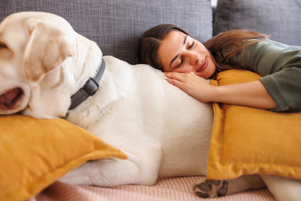 A Nap a Day May Keep Dementia Away: Study Links Napping With Better Brain Health