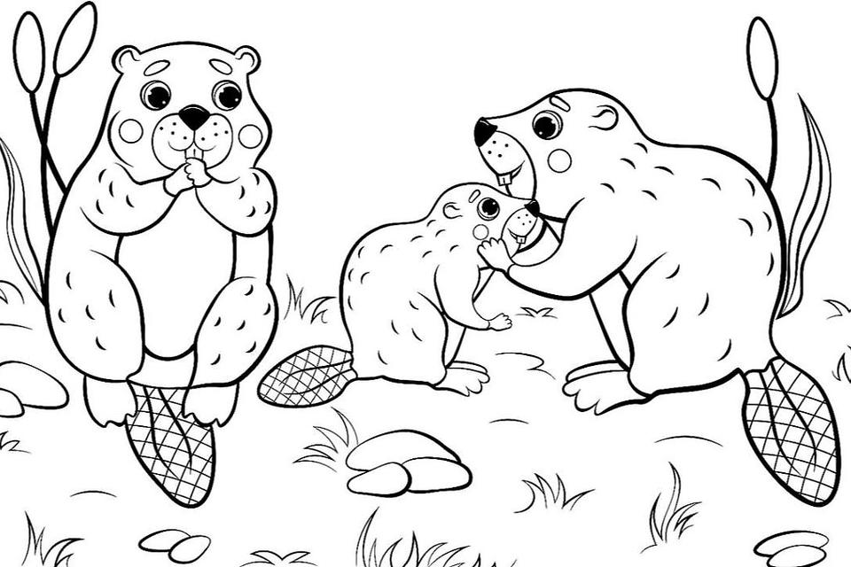 Animal Families Coloring Pages: Free & Fun Printable Coloring Pages of Animal Families | Printables | 30Seconds Mom