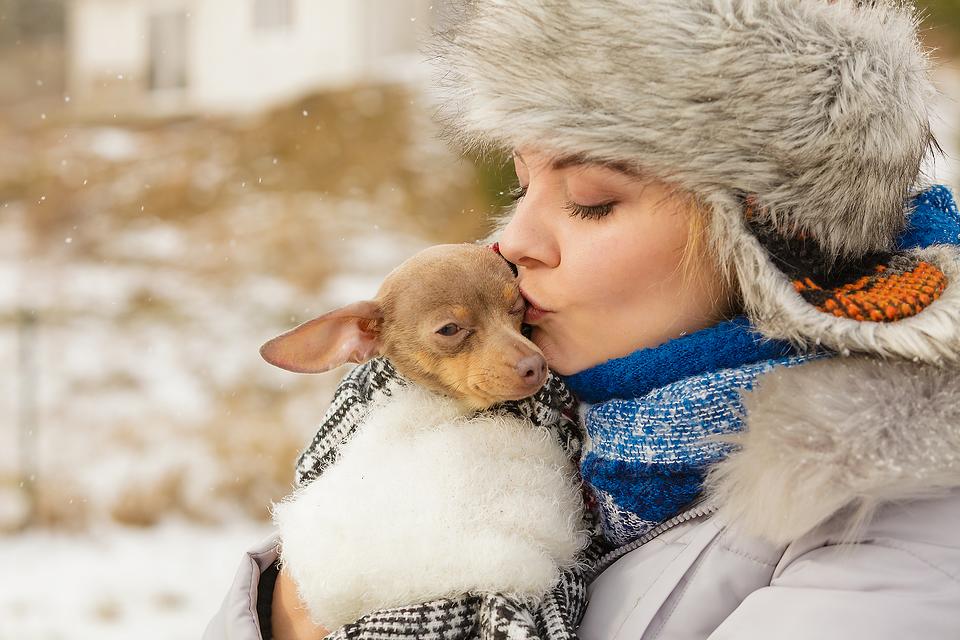 Cold Weather & Pet Safety: Simple Tips to Help Keep Family Pets Warm in the Winter