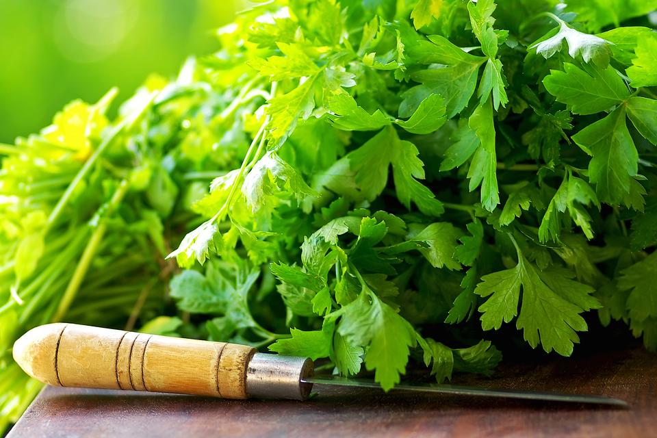 How to Store Fresh Herbs & Lettuce: This Trick Will Extend Their Shelf Life!