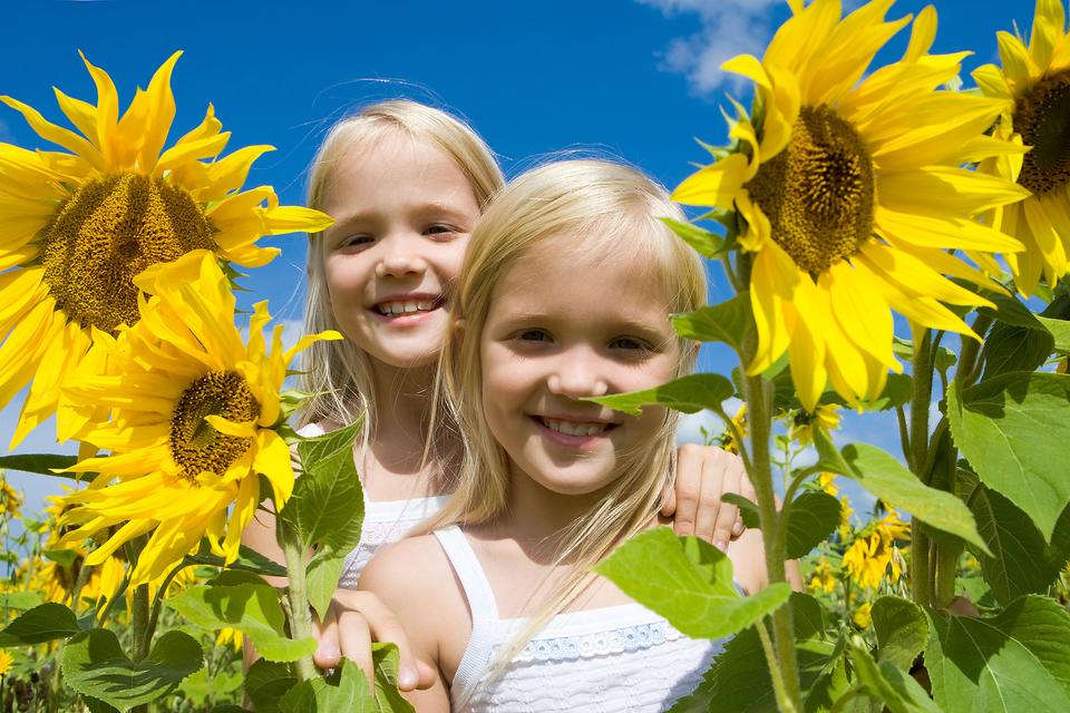 Need Some Sunshine in Your Life? Sunflowers to the Rescue!