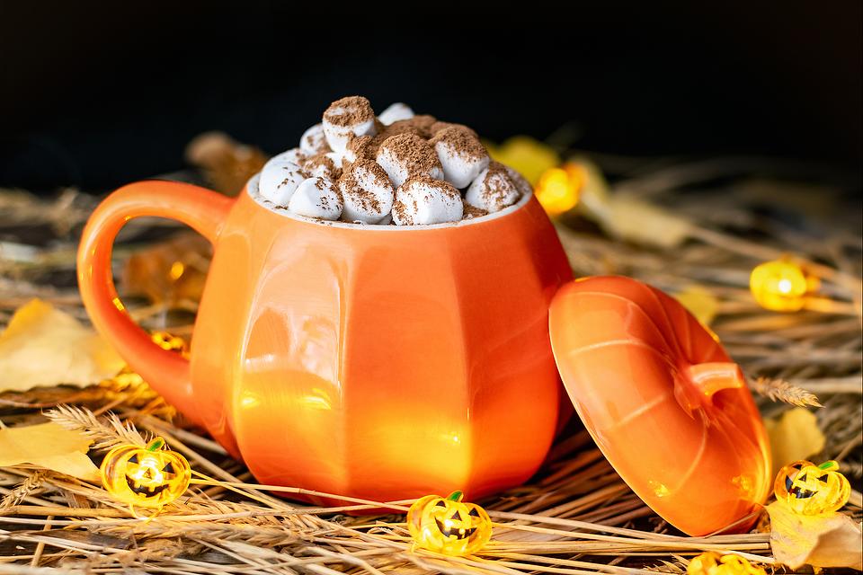 Pumpkin Pie Spice Hot Chocolate Recipe: You Need to Sip on This Creamy Pumpkin Hot Chocolate Recipe ASAP