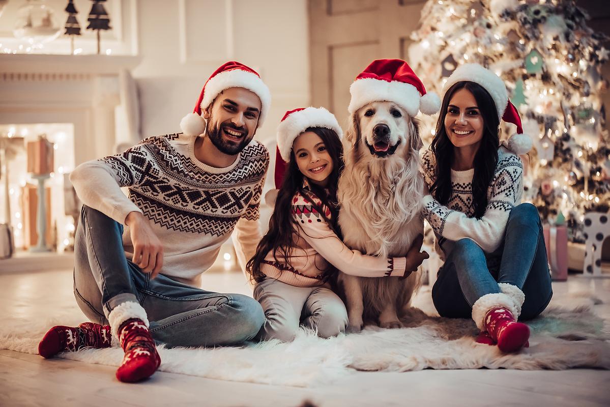 creative family christmas photos