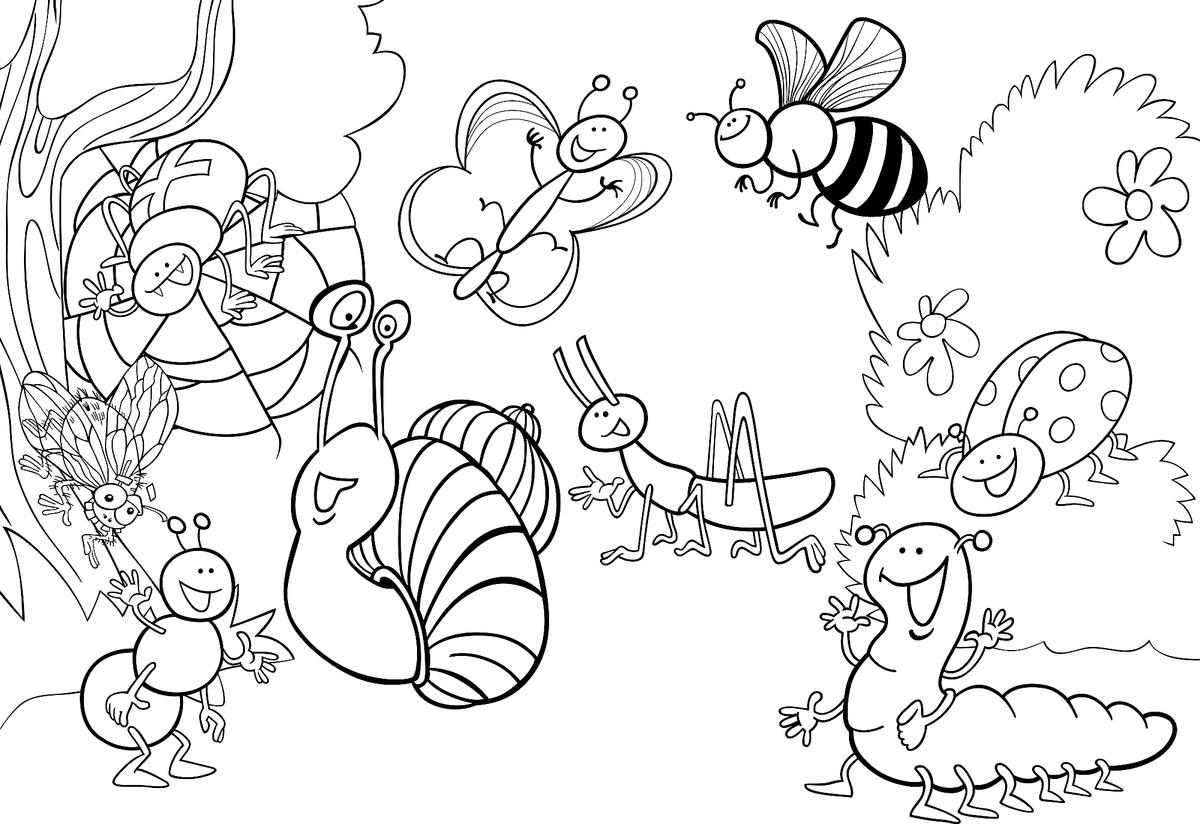 coloring pages insects