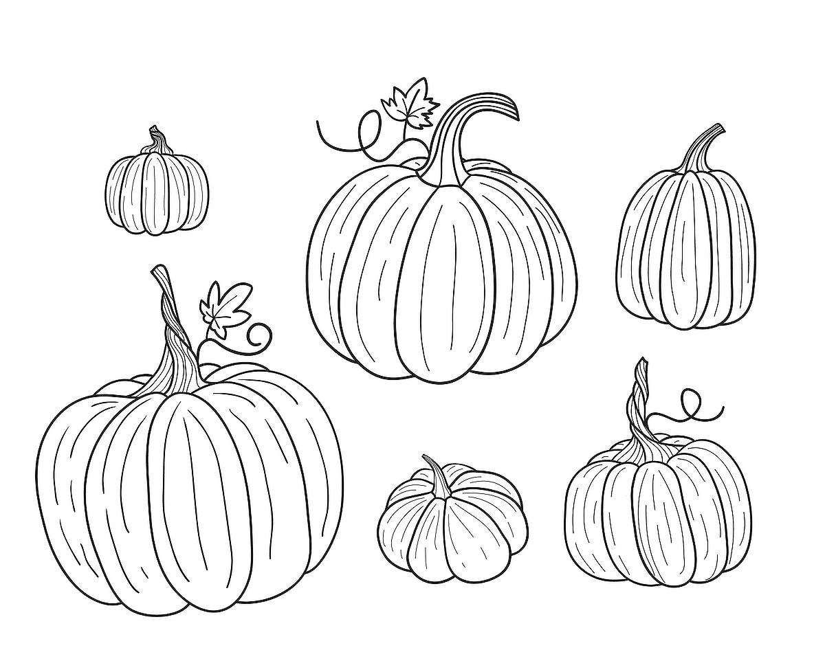 Free Printable Pumpkin Coloring Pages For Kids Cool2bkids