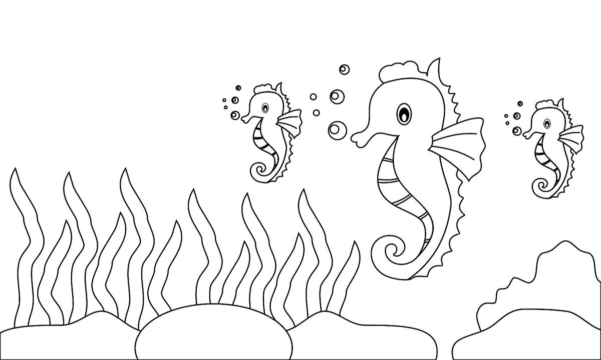 Sea Creatures Coloring Pages: Fish, Dolphins, Sharks & Other Marine