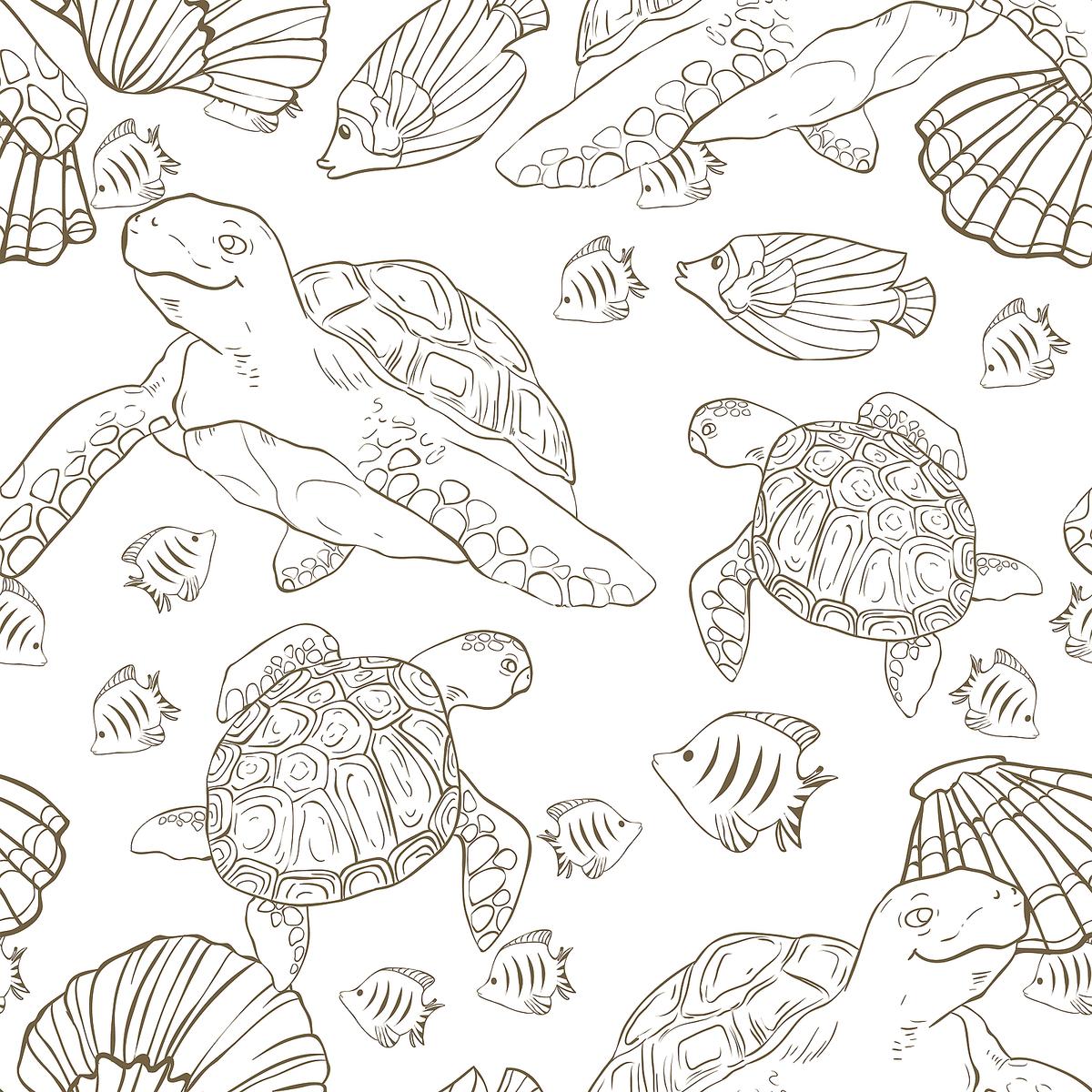 coloring pages sea life